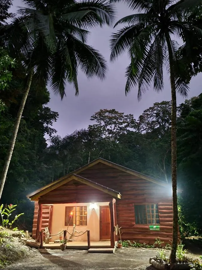 Ecoscape Jamaica - Lavish 1-Br Cottage By The River Бухта Св. Анны Ямайка