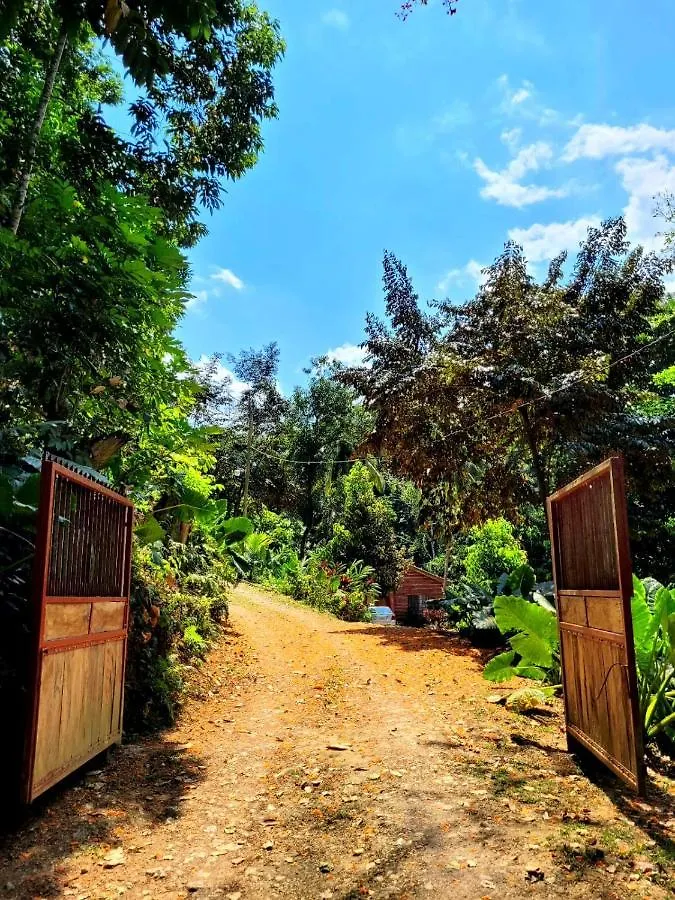 Ecoscape Jamaica - Lavish 1-Br Cottage By The River Бухта Св. Анны