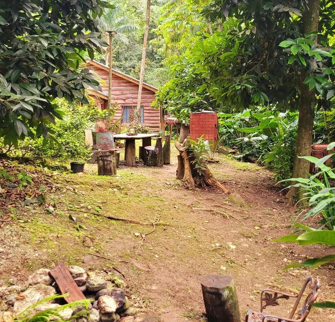 Деревянный коттедж Ecoscape Jamaica - Lavish 1-Br Cottage By The River Бухта Св. Анны Ямайка